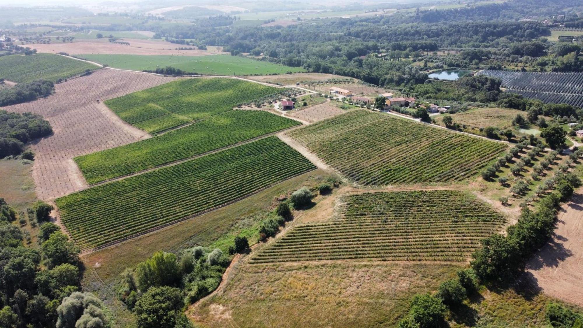 Agriturismo Podere Casa Al Vento Montepulciano Stazione Extérieur photo