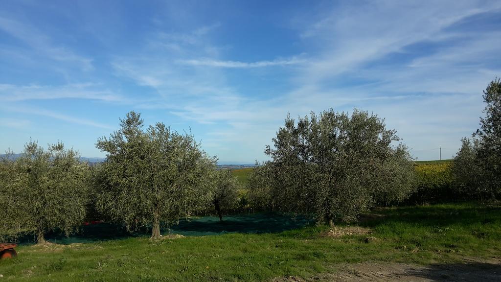 Agriturismo Podere Casa Al Vento Montepulciano Stazione Extérieur photo