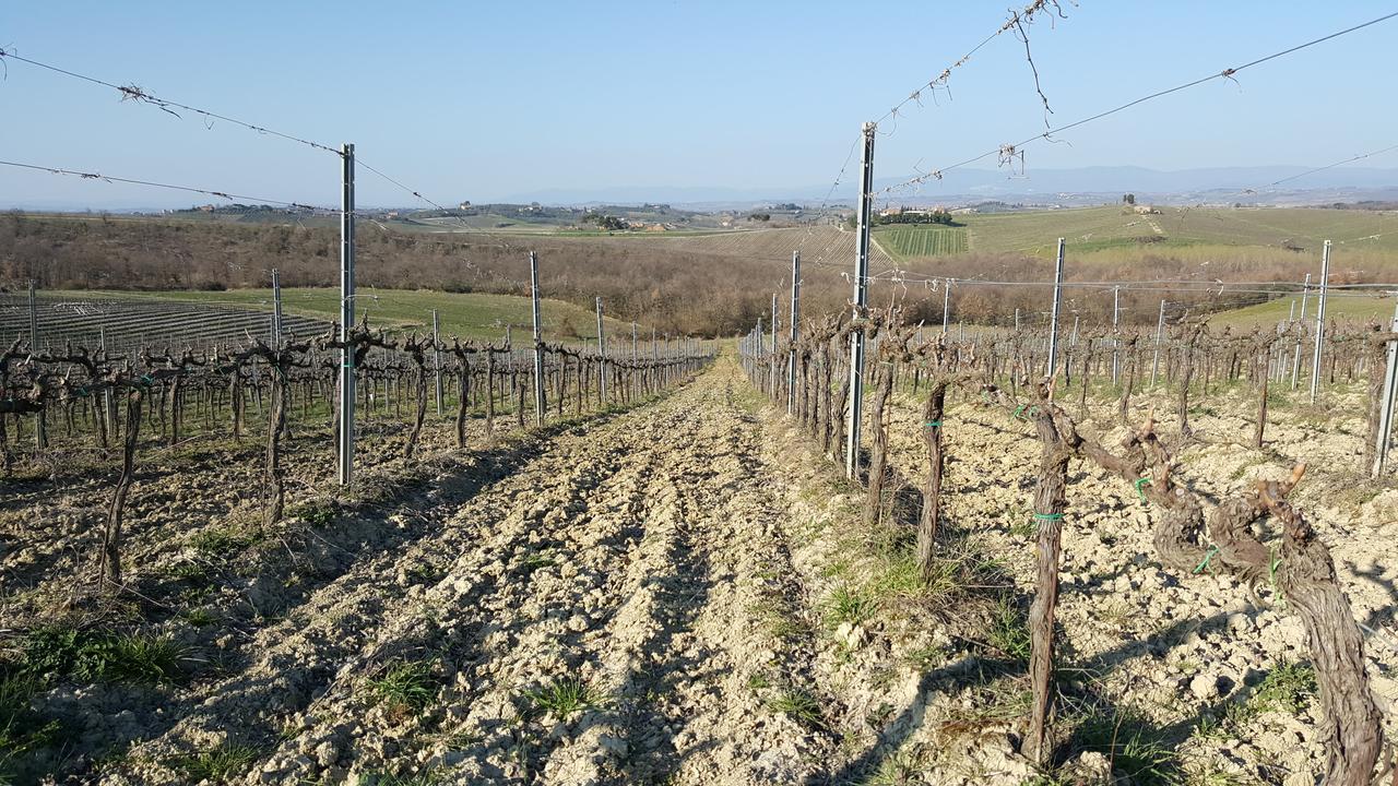 Agriturismo Podere Casa Al Vento Montepulciano Stazione Extérieur photo